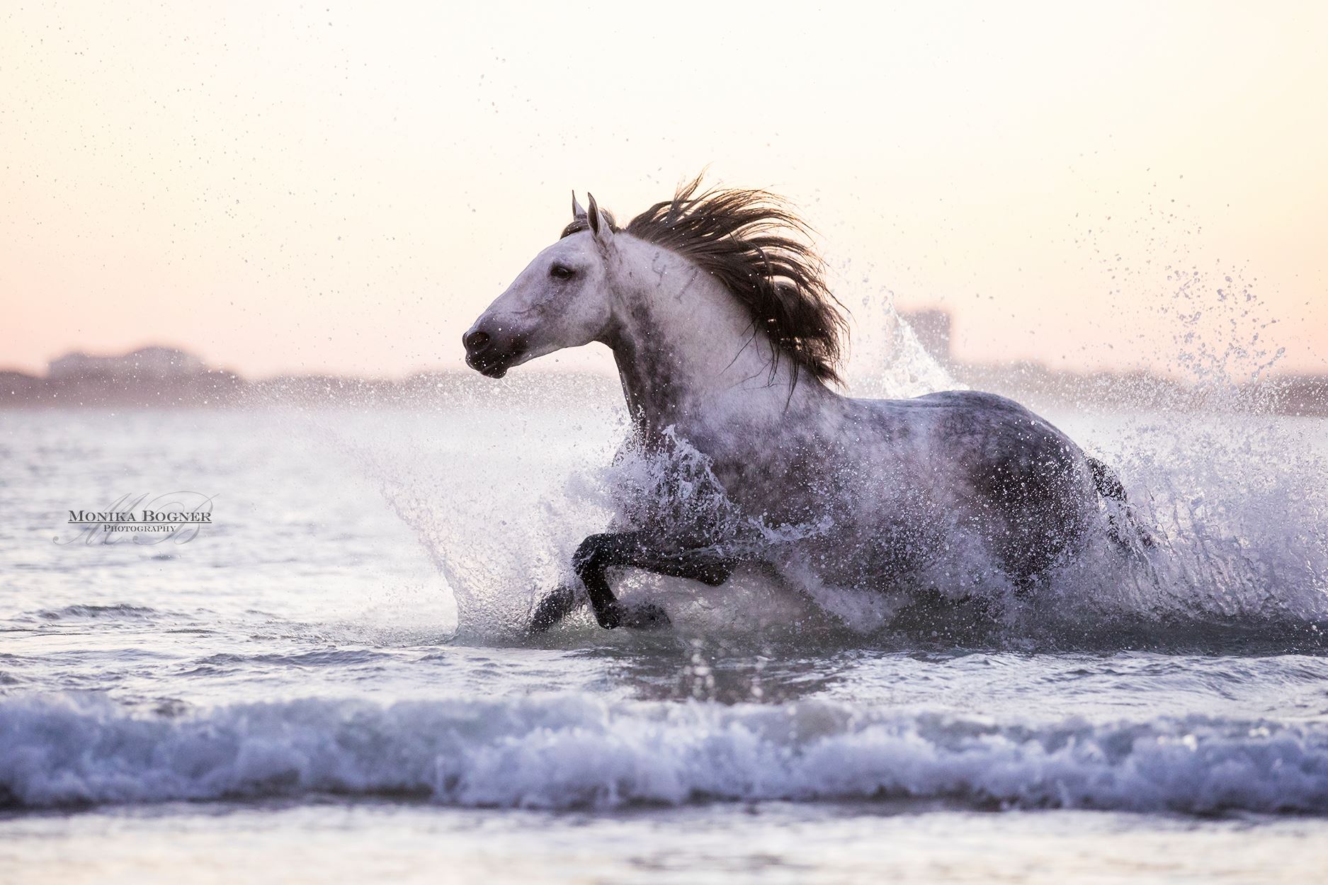 The pretty Gameboy by Miguel da Fonseca in the sea ❤